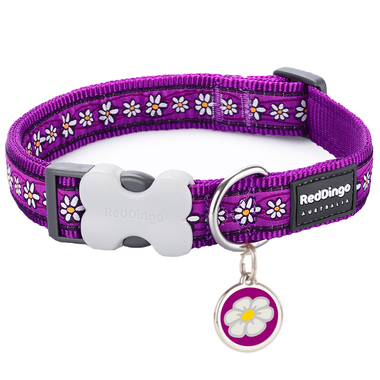 Red Dingo Daisy Chain Purple Collar & Tag