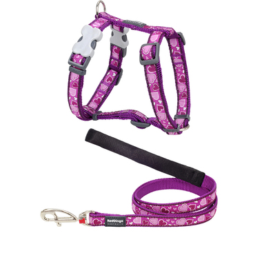 Red Dingo Breezy Love Purple Dog Harness & Lead Set