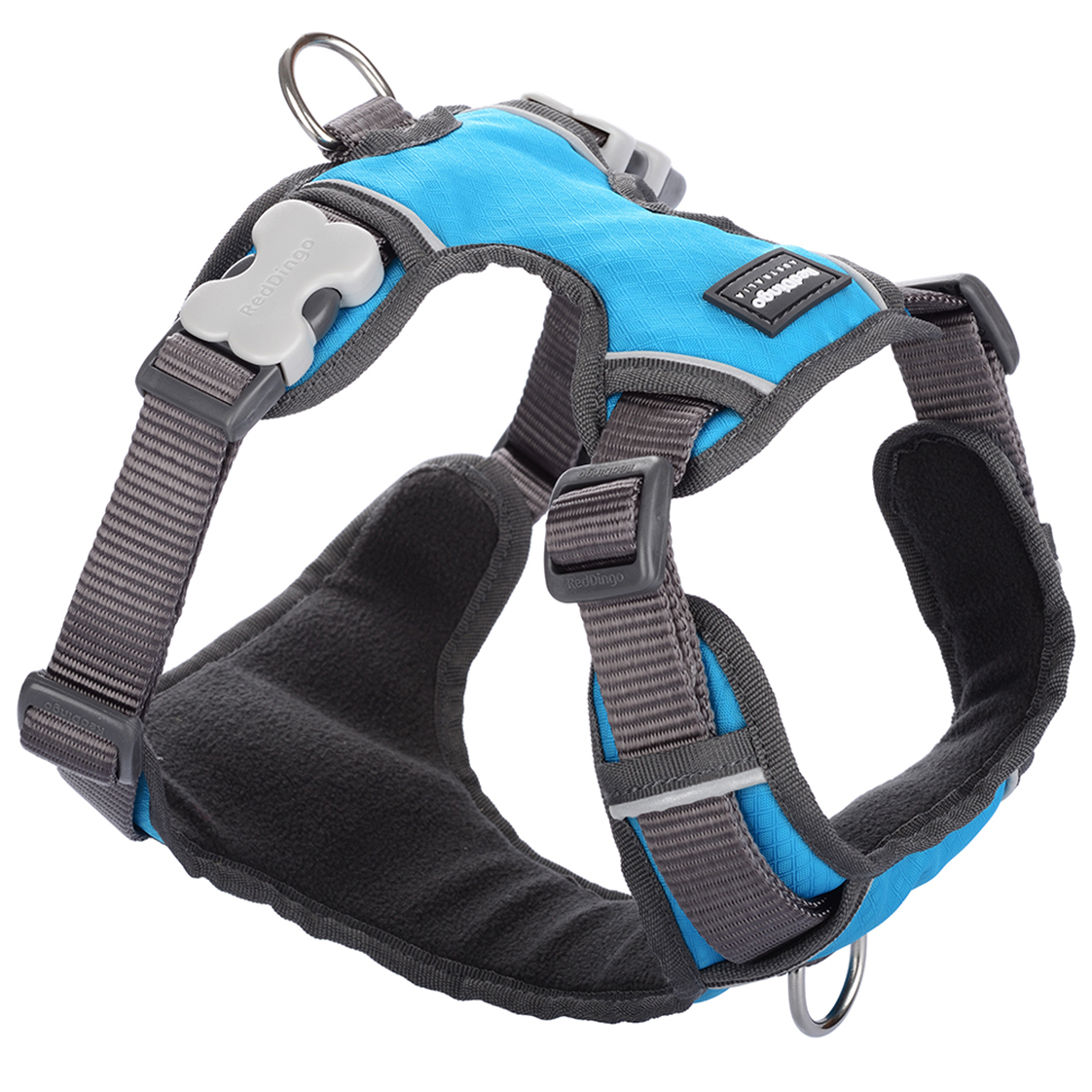 Red Dingo Turquoise Padded Harness - Dapper Pets