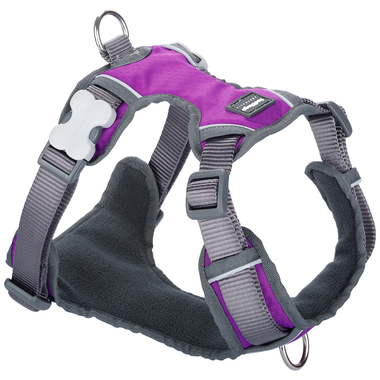 Red Dingo Purple Padded Harness