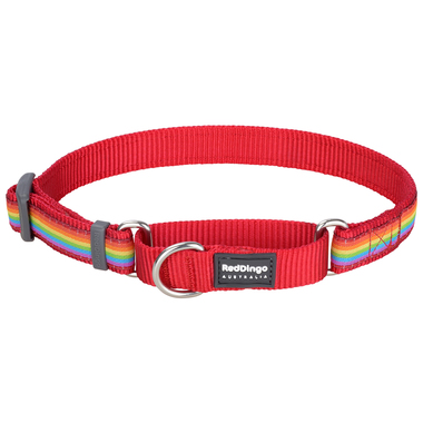 Red Dingo Rainbow Martingale Dog Collar